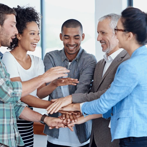 Succulent sample page home about